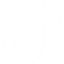 TikTok Icon